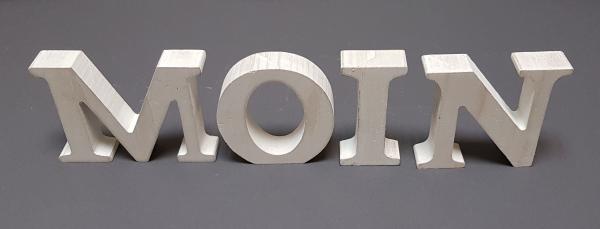 Schriftzug aus Holz Moin